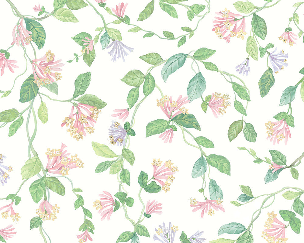 Cole & Son Hummingbirds Flora
Wallpaper in Blush, Sage, & Mulberry on Cream
