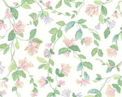 Cole & Son Hummingbirds Flora
Wallpaper in Blush, Sage, & Mulberry on Cream

