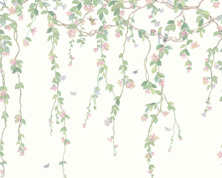 Cole & Son Hummingbirds Flora
Wallpaper in Blush, Sage, & Mulberry on Cream
