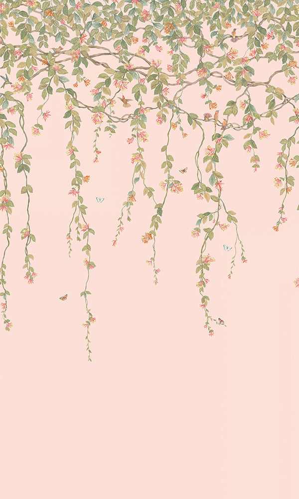 Cole & Son Hummingbirds Flora Wallpaper