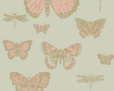 Cole & Son Butterflies & Dragonflies 103/15063 Wallpaper
