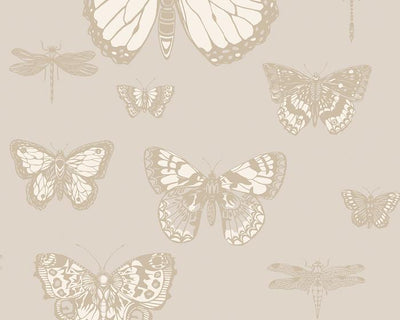 Cole & Son Butterflies & Dragonflies 103/15064 Wallpaper