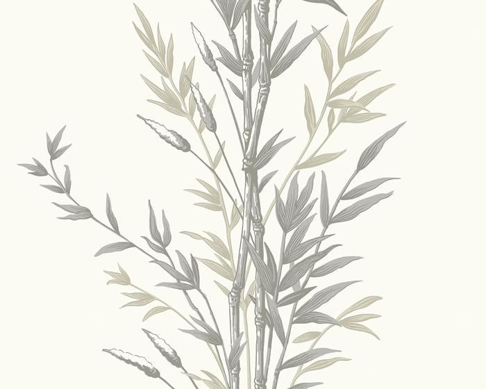 Cole & Son Bamboo 100/5025 Wallpaper