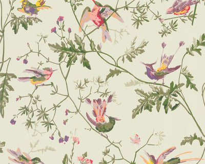 Cole & Son Hummingbirds 100/14070 Wallpaper