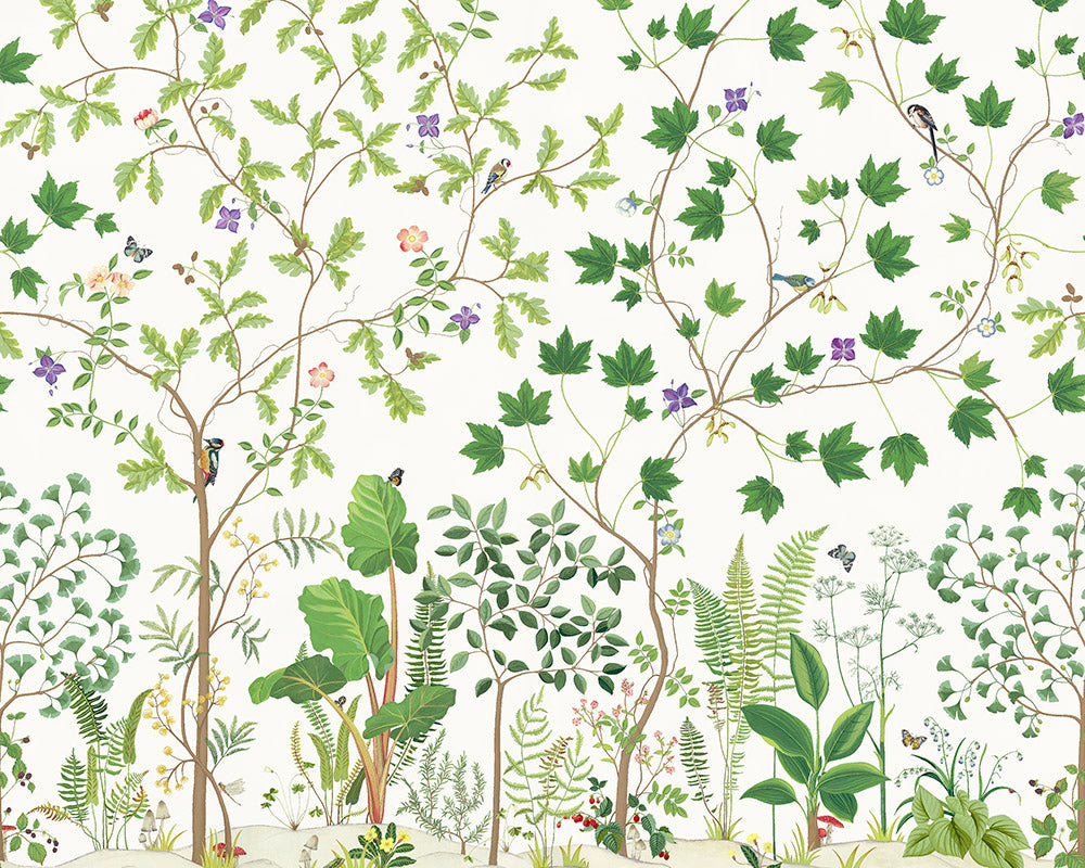 Sanderson Sycamore and Oak Wallpaper