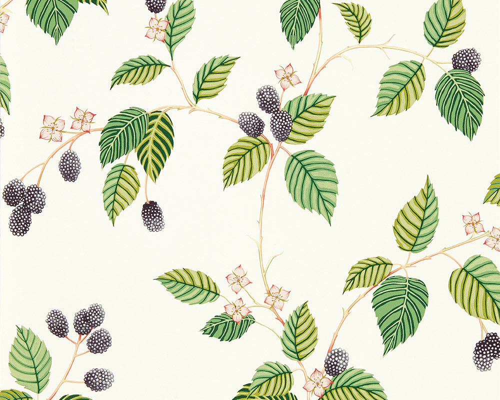 Sanderson Rubus Wallpaper