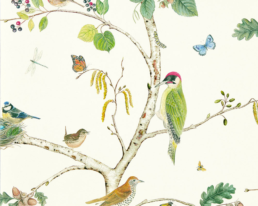 Sanderson Woodland Chorus Wallpaper