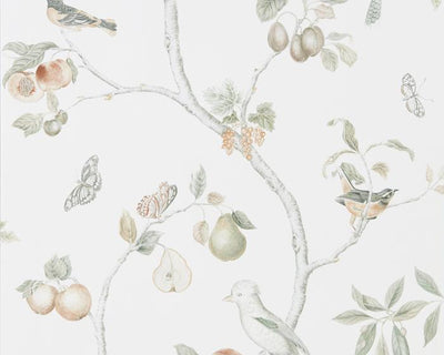 Sanderson Fruit Aviary Ivory/Mineral 216313 Wallpaper