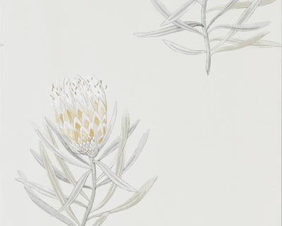 Sanderson Protea Flower Daffodil/Natural 216328 Wallpaper