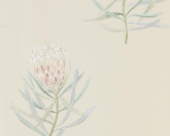 Sanderson Protea Flower Russet/Green 216329 Wallpaper