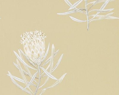 Sanderson Protea Flower Sepia/Champagne 216331 Wallpaper