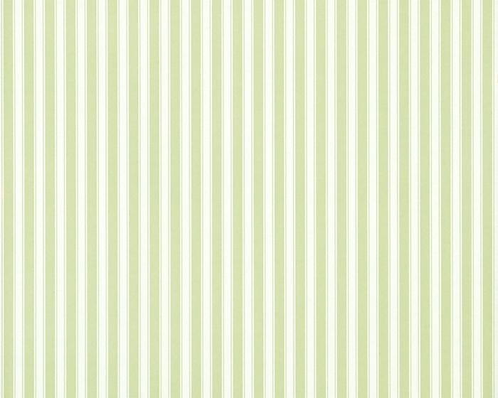 Sanderson New Tiger Stripe Leaf Green/Ivory DCAVTP103 Wallpaper