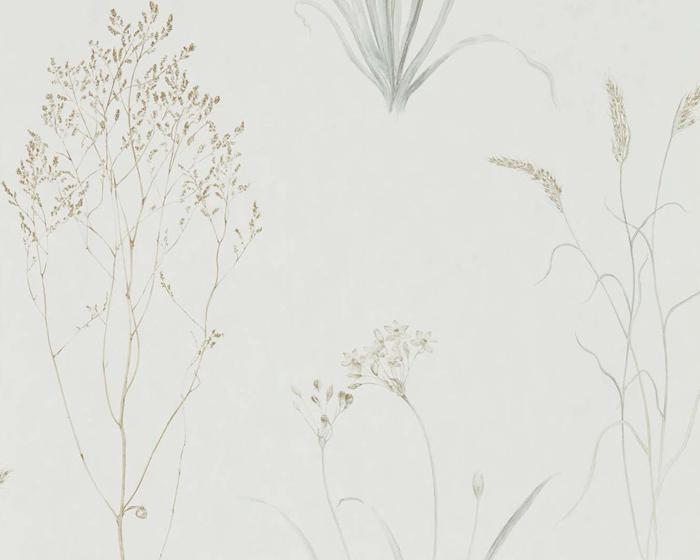 Sanderson Farne Grasses Silver/Ivory 216487 Wallpaper