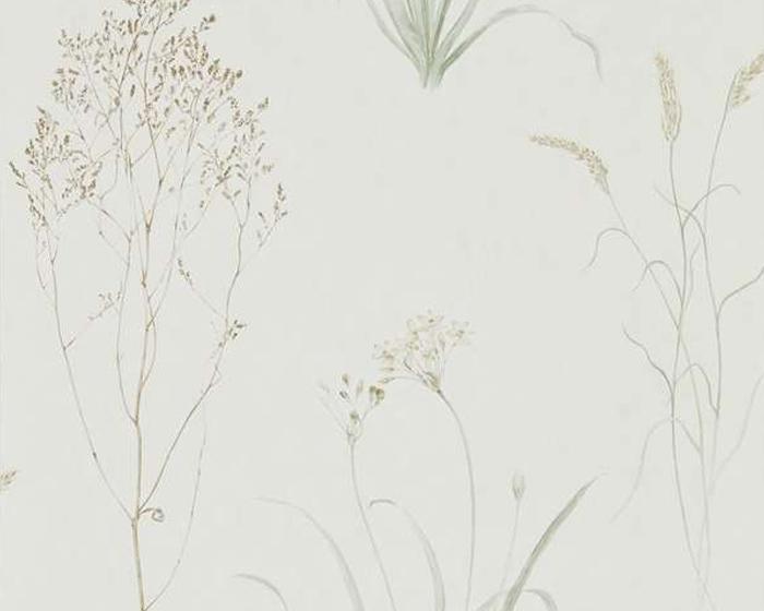 Sanderson Farne Grasses Willow/Pebble 216488 Wallpaper