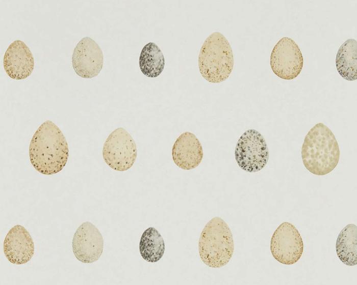 Sanderson Nest Egg Corn Graphite 216505 Wallpaper