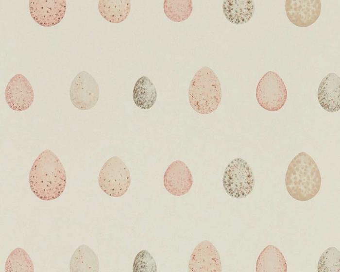 Sanderson Nest Egg Blush Pink 216506 Wallpaper