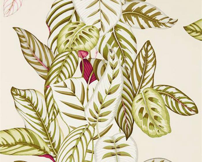 Sanderson Calathea Olive 216631 Wallpaper