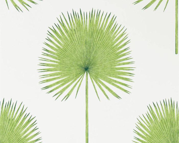 Sanderson Fan Palm Botanical Green 216636 Wallpaper