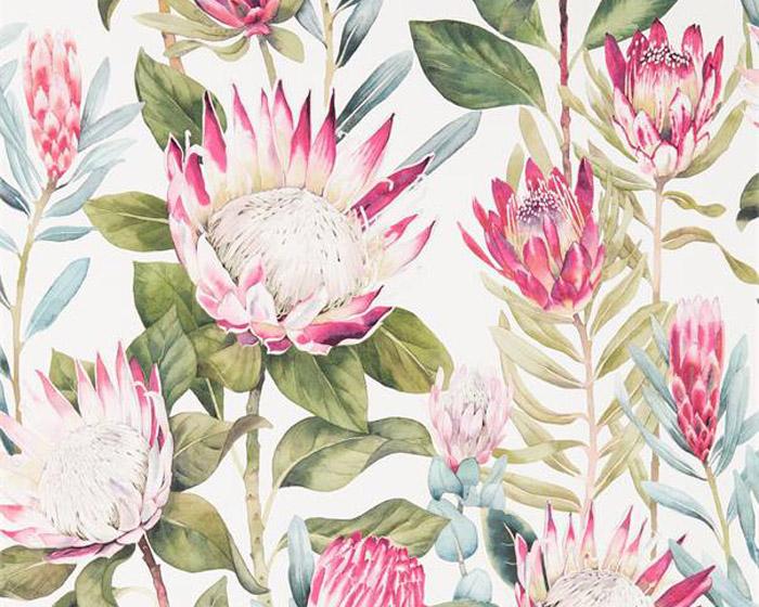 Sanderson King Protea Rhodera/Cream 216646 Wallpaper