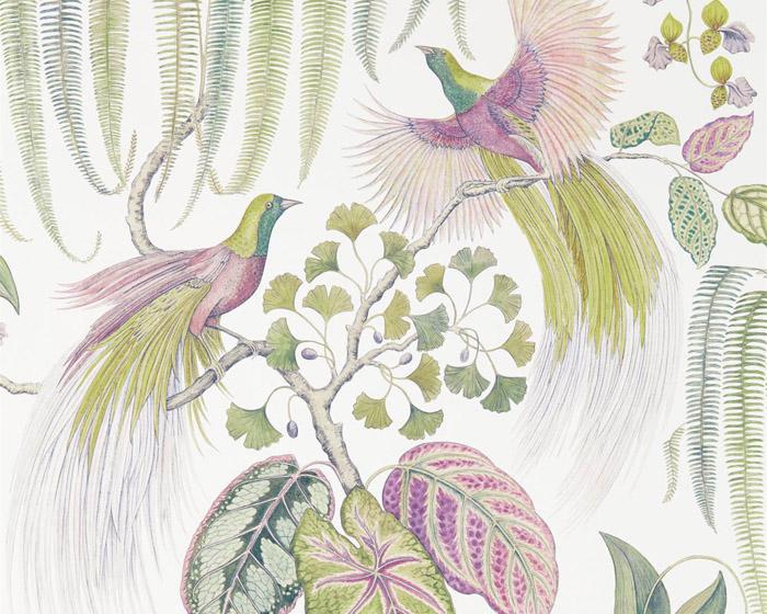 Sanderson Bird of Paradise Orchid 216654 Wallpaper