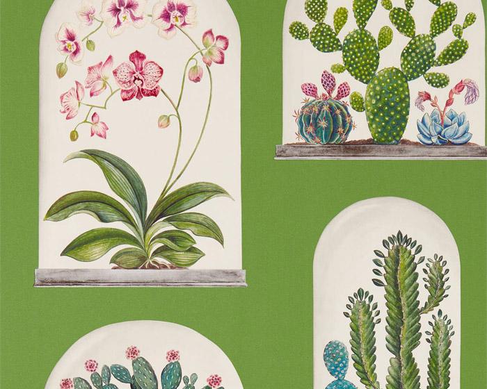 Sanderson Terrariums Botanical Green/Multi 216656 Wallpaper