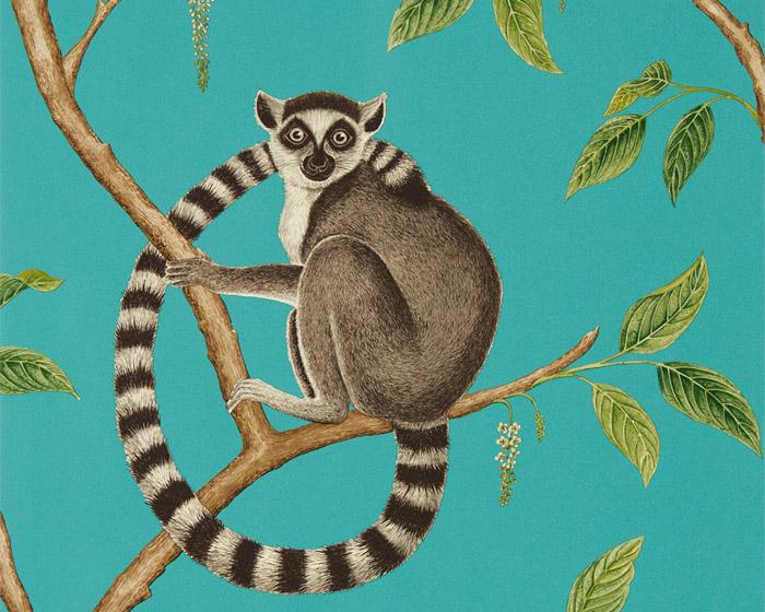 Sanderson Ringtailed Lemur Teal 216663 Wallpaper