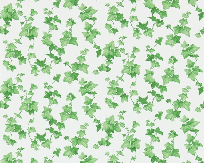 Sanderson Hedera Green 214593 Wallpaper