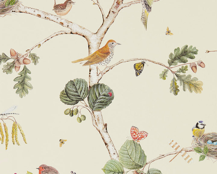 Sanderson Woodland Chorus Wallpaper