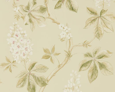Sanderson Chestnut Tree Wallpaper