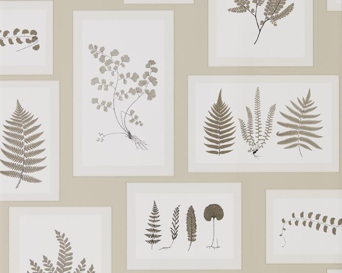 Sanderson Fern Gallery Linen/Sepia 215714 Wallpaper