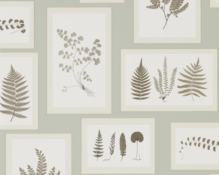 Sanderson Fern Gallery Blue/Sepia 215715 Wallpaper