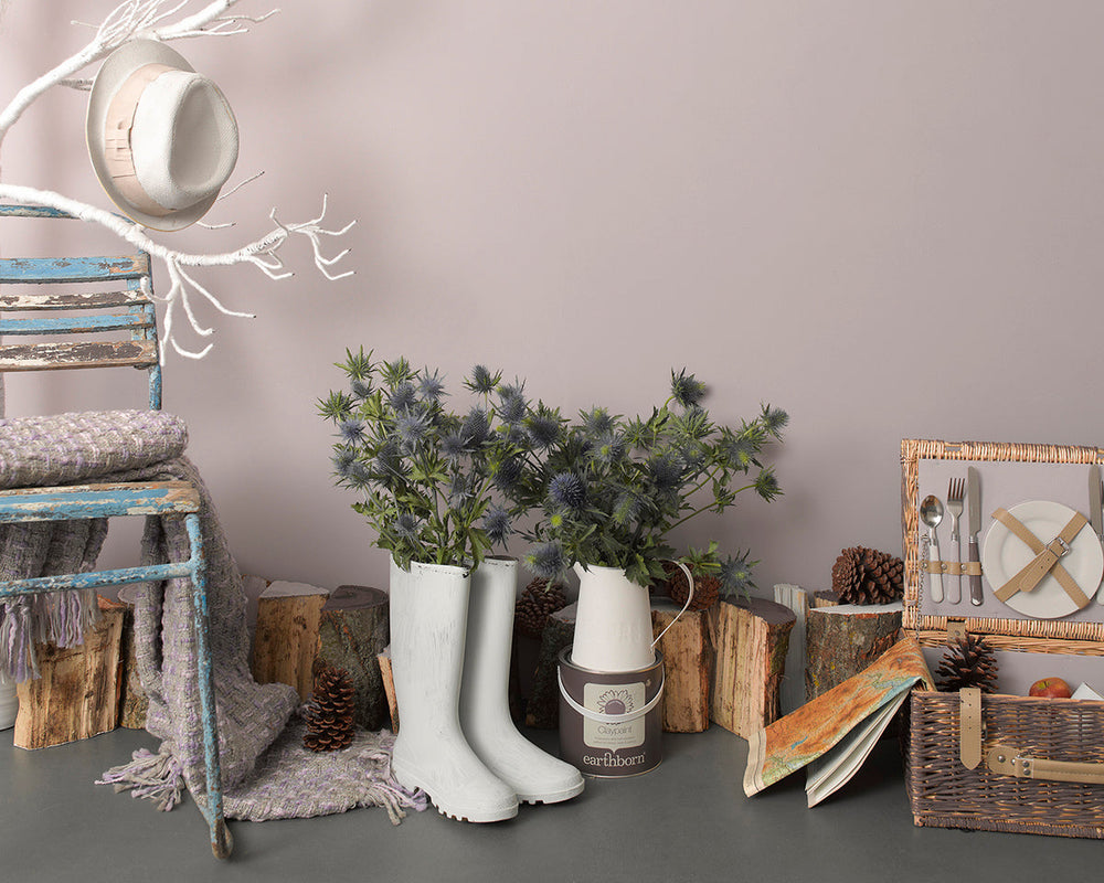 Earthborn Inglenook Paint in Room
