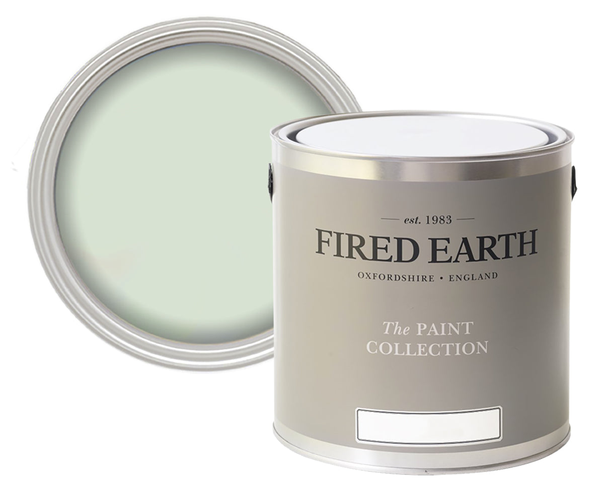 Fired Earth Celadon Paint in Room 