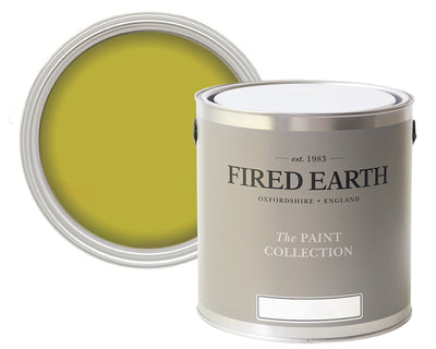 Fired Earth Prehnite Paint