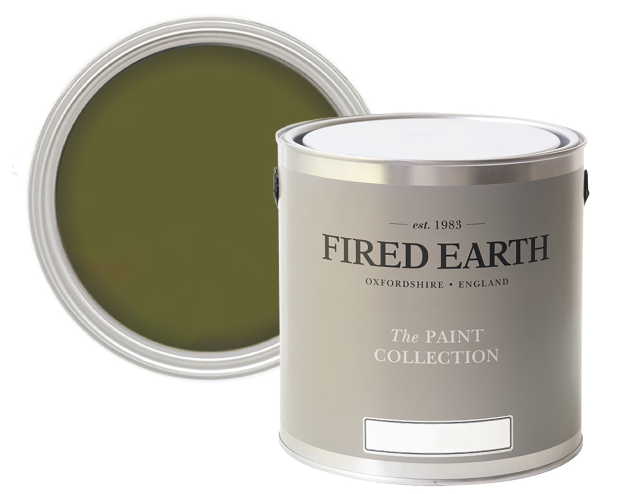 Fired Earth Wild Olive Paint