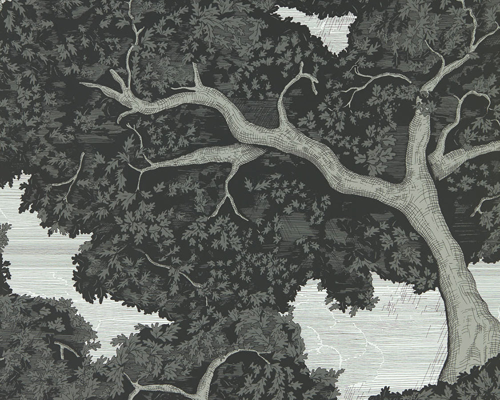 Harlequin Eternal Oak Wallpaper