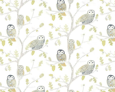 Harlequin Little Owls Kiwi 112627 Wallpaper