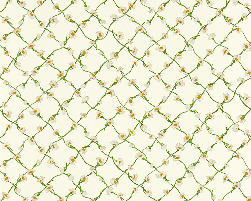 Harlequin Daisy Trellis Wallpaper in Emerald/Pearl