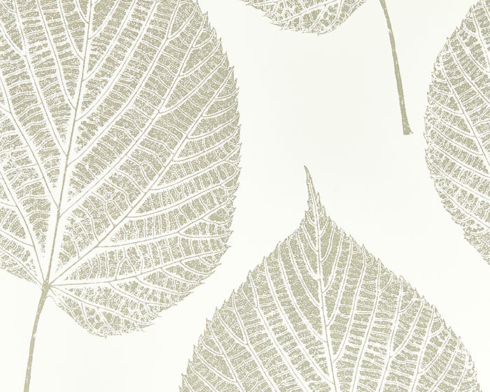 Harlequin Leaf Chalk/Silver