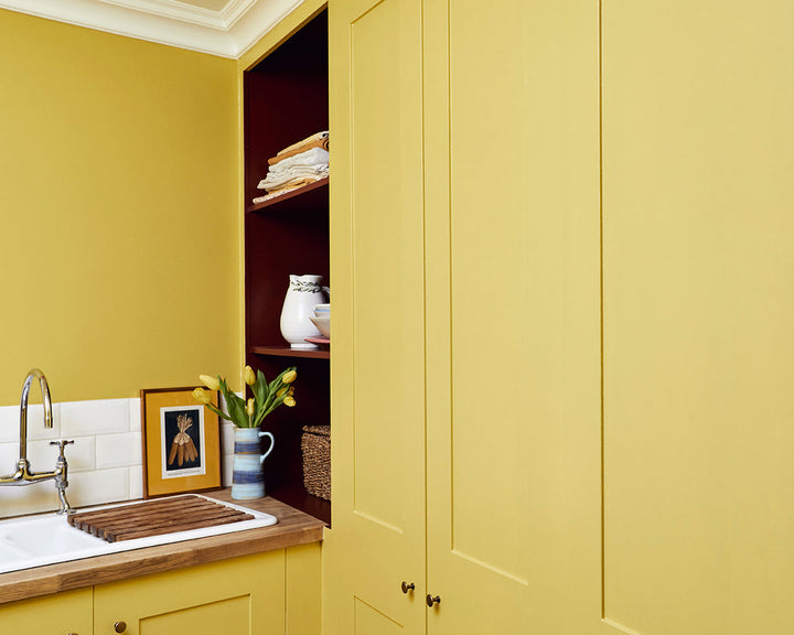 Mylands Haymarket 47 Paint on cabinets
