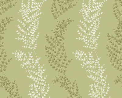 OHPOPSI Mimosa Trail Sage Olive Wallpaper JRD50109W