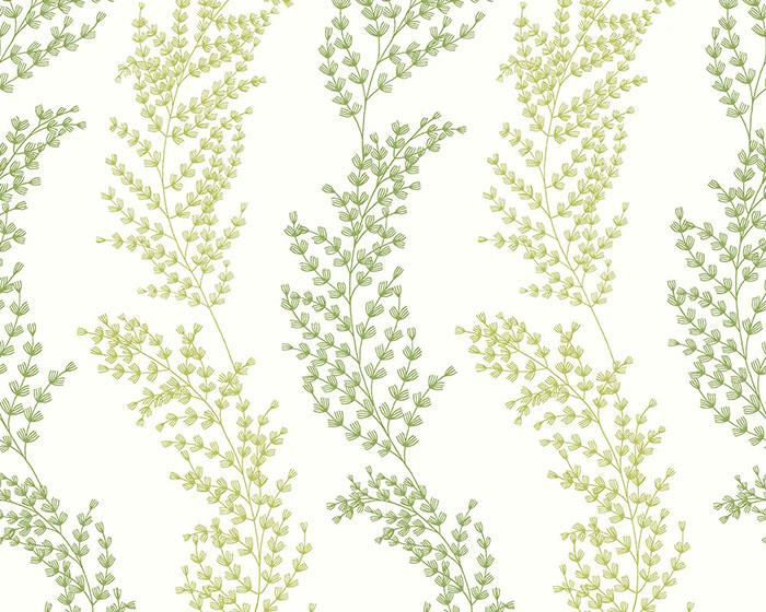 OHPOPSI Mimosa Trail Olive Wallpaper JRD50111W