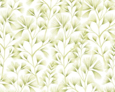 OHPOPSI Arabella Green Cream Wallpaper JRD50120W