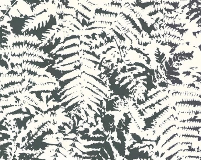 Little Greene Fern Off Black 0282FEOFFBL Wallpaper