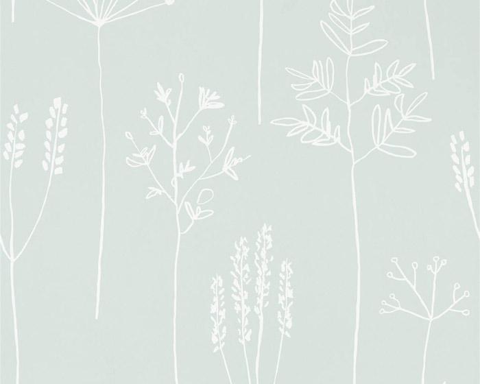 Scion Stipa Frost 112020 Wallpaper