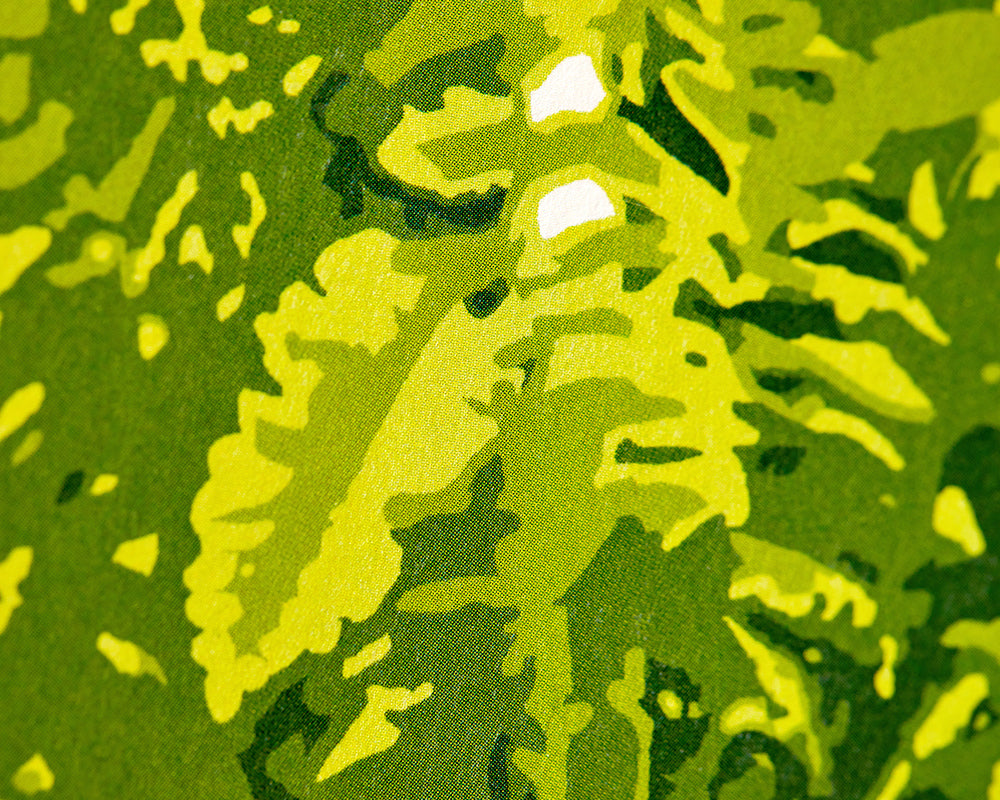OHPOPSI Houseplant Wallpaper fern leaves