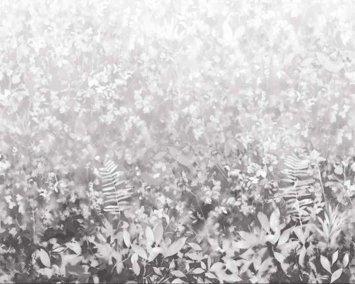 Paint & Paper Library Folia Perse Grey Wallpaper
