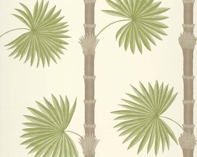 Paint & Paper Library Hardy Palm Sand III Wallpaper