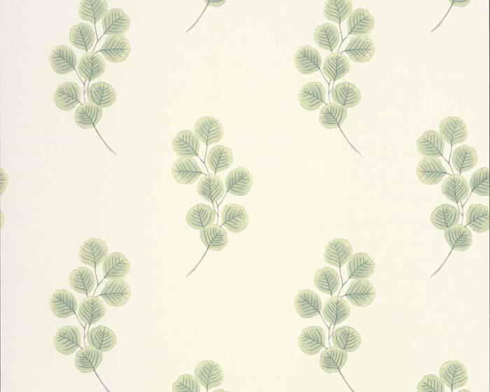 Paint & Paper Library Honesty Chelsea Green II Wallpaper