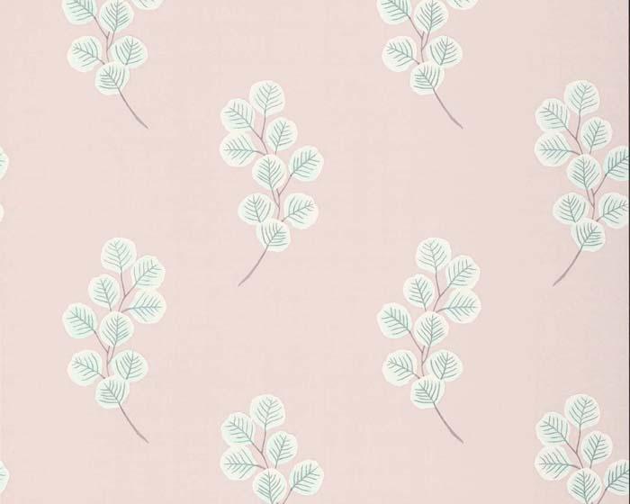 Paint & Paper Library Honesty Plaster III Wallpaper